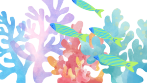 Omega 3 en algenolie: het belang ervan + een kortingscode